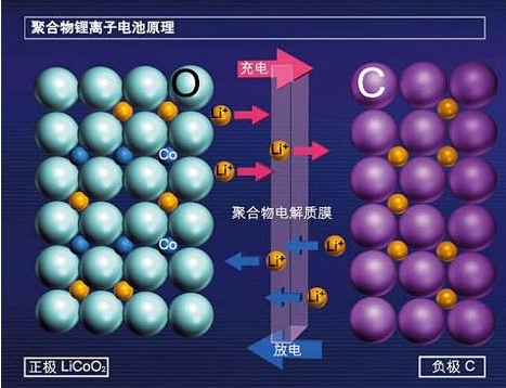 东莞向日葵成人网站回收厂家