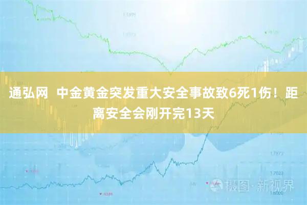 通弘网  中金黄金突发重大安全事故致6死1伤！距离安全会刚开完13天