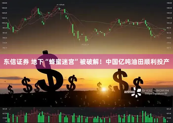东信证券 地下“蜂蜜迷宫”被破解！中国亿吨油田顺利投产
