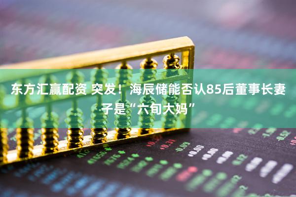 东方汇赢配资 突发！海辰储能否认85后董事长妻子是“六旬大妈”