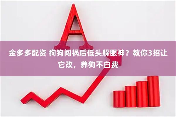 金多多配资 狗狗闯祸后低头躲眼神？教你3招让它改，养狗不白费