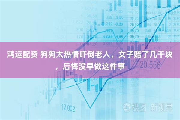 鸿运配资 狗狗太热情吓倒老人，女子赔了几千块，后悔没早做这件事