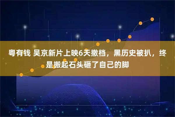 粤有钱 吴京新片上映6天撤档，黑历史被扒，终是搬起石头砸了自己的脚