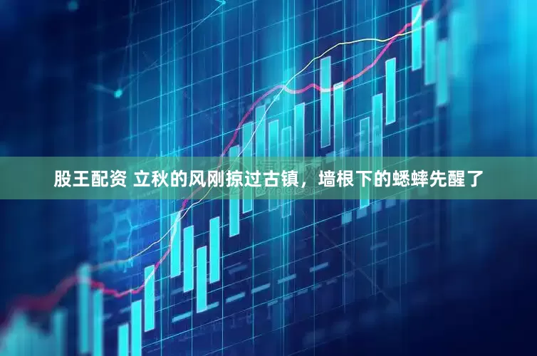 股王配资 立秋的风刚掠过古镇，墙根下的蟋蟀先醒了