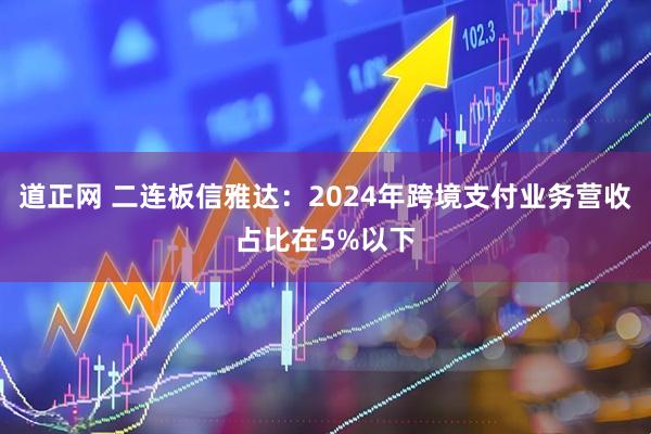 道正网 二连板信雅达：2024年跨境支付业务营收占比在5%以下